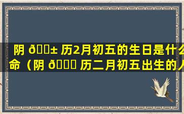 阴 🐱 历2月初五的生日是什么命（阴 🐎 历二月初五出生的人命运怎么样）